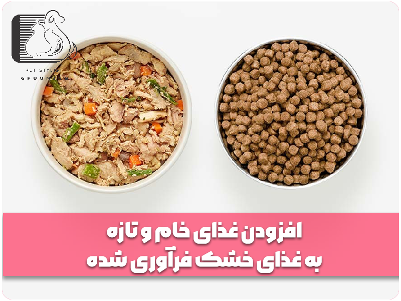 افزودن غذای خام و تازه به غذای خشک فرآوری شده